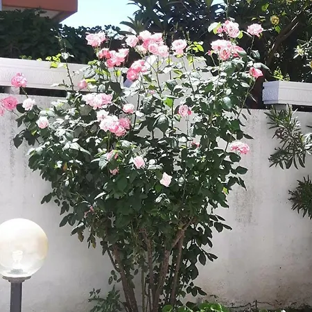 Bed and Breakfast Pienosole