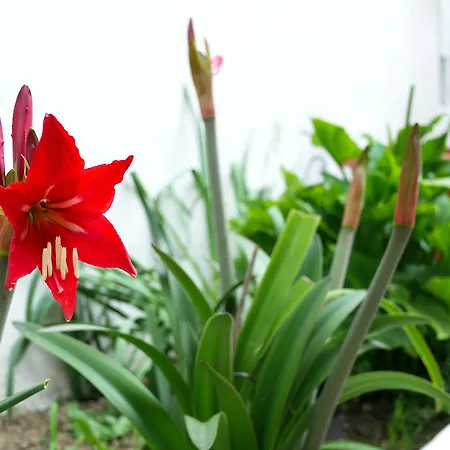 Pienosole Couette-café