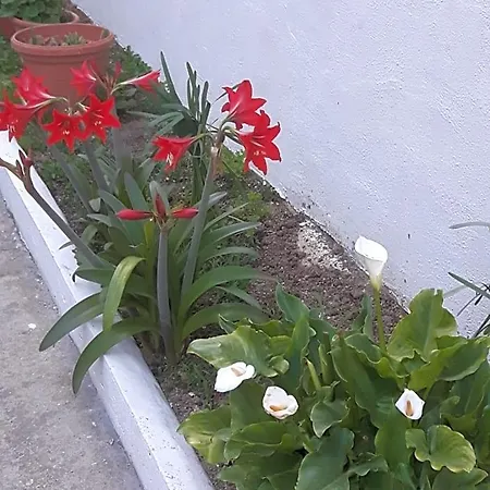 Pienosole 3*