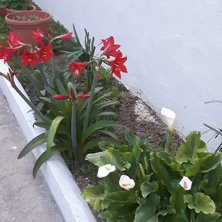 Couette-café Pienosole Francavilla Al Mare