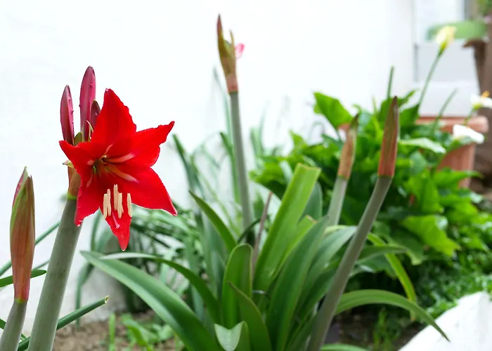 Pienosole ベッド・アンド・ブレックファスト