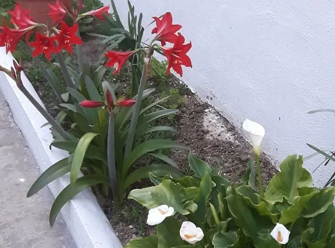 Oda ve Kahvaltı Pienosole Francavilla Al Mare